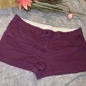 Ann Taylor Loft Purple Shorts size 18